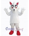 Wolf mascot costume