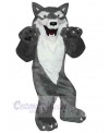 Wolf mascot costume