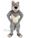 Wolf mascot costume