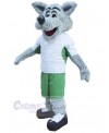 Wolf mascot costume