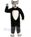 Wolf mascot costume