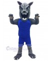 Wolf mascot costume