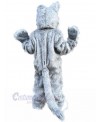 Wolf mascot costume