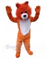 Wolf mascot costume