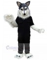 Wolf mascot costume