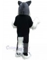 Wolf mascot costume