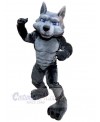 Wolf mascot costume