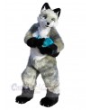 Wolf mascot costume