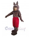 Coyote mascot costume