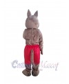 Coyote mascot costume