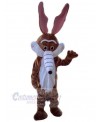 Wolf mascot costume