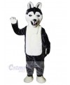 Wolf mascot costume