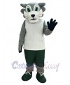 Wolf mascot costume