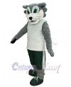 Wolf mascot costume