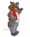 Wolf mascot costume