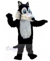 Wolf mascot costume