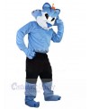 Wolf mascot costume