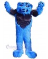 Wolf mascot costume