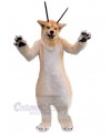 Wolf mascot costume