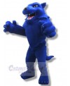 Wolf mascot costume