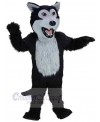 Wolf mascot costume