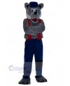 Wolf mascot costume