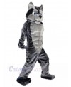 Wolf mascot costume