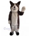 Wolf mascot costume