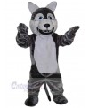 Wolf mascot costume