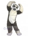 Wolf mascot costume