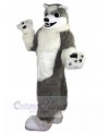 Wolf mascot costume