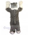 Wolf mascot costume