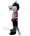 Wolf mascot costume