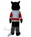 Wolf mascot costume