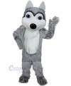 Wolf mascot costume