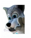 Wolf mascot costume