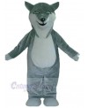 Wolf mascot costume