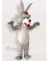 Wolf mascot costume