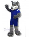 Wolf mascot costume