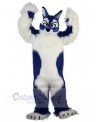 Wolf mascot costume
