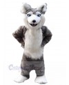 Wolf mascot costume