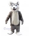 Wolf mascot costume