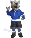 Wolf mascot costume