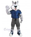 Wolf mascot costume