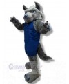Wolf mascot costume