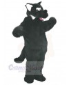 Wolf mascot costume