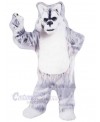 Wolf mascot costume