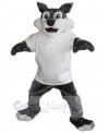 Wolf mascot costume