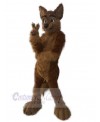 Wolf mascot costume