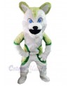 Wolf mascot costume